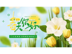 精美花卉背景的小清新“春天你好”通用PPT模板-第一PPT