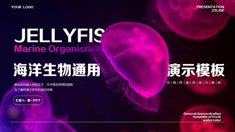图片[1]-蓝紫配色水母背景的海洋生物通用PPT模板-第一PPT