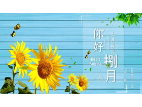 蓝色向日葵背景的“你好捌月”通用PPT模板-第一PPT