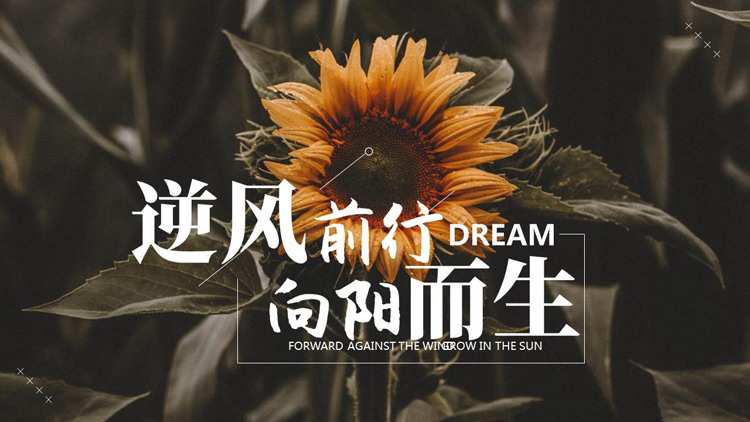 图片[1]-黑色向日葵背景的“逆风前行向阳而生”通用PPT模板-第一PPT
