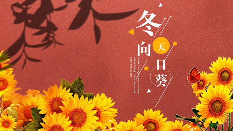 图片[1]-红色向日葵背景的冬天向日葵主题通用PPT模板-第一PPT