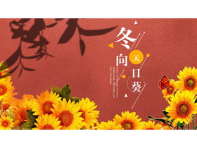 红色向日葵背景的冬天向日葵主题通用PPT模板-第一PPT