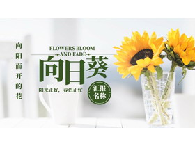 绿色精美向日葵主题商务汇报PPT模板-第一PPT