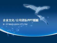 企业文化公司团队PPT模板-第一PPT