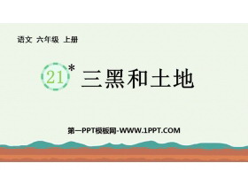 《三黑和土地》PPT精品教学课件-第一PPT