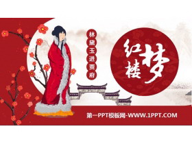 《林黛玉进贾府》PPT课文课件-第一PPT