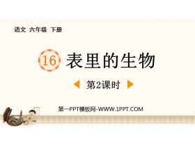 《表里的生物》PPT课件下载(第2课时)-第一PPT