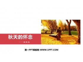 《秋天的怀念》PPT优秀免费课件-第一PPT