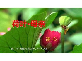 《荷叶·母亲》PPT免费教学课件-第一PPT