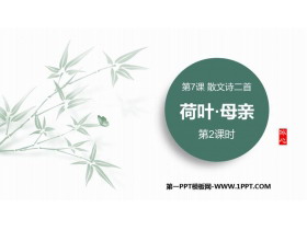 《荷叶·母亲》PPT课件(第2课时)-第一PPT