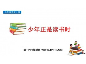 《少年正是读书时》PPT优秀课件下载-第一PPT