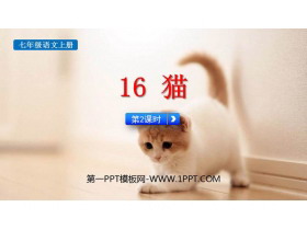 《猫》PPT精品课件(第2课时)-第一PPT