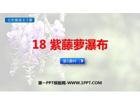 《紫藤萝瀑布》PPT课件下载(第2课时)-第一PPT