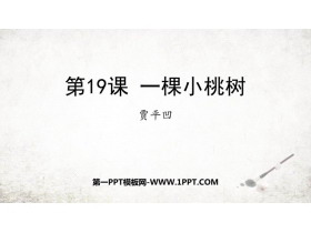 《一棵小桃树》PPT优质教学课件-第一PPT