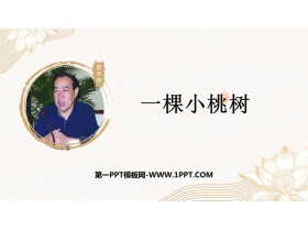 《一棵小桃树》PPT免费精品课件-第一PPT