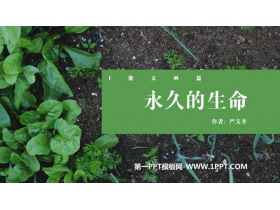 《永久的生命》PPT精品教学课件-第一PPT