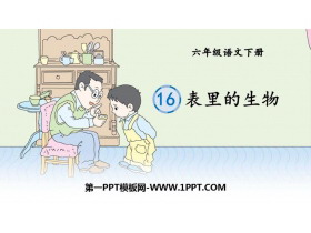 《表里的生物》PPT优质课件-第一PPT