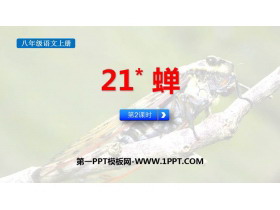 《蝉》PPT免费课件(第2课时)-第一PPT