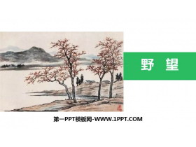 《野望》PPT精品教学课件-第一PPT