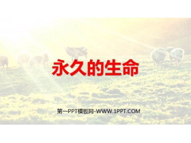 《永久的生命》PPT免费教学课件-第一PPT
