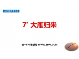 《大雁归来》PPT免费教学课件-第一PPT