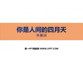 《你是人间的四月天》PPT精品免费课件-第一PPT