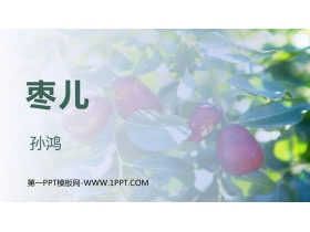《枣儿》PPT精品教学课件-第一PPT
