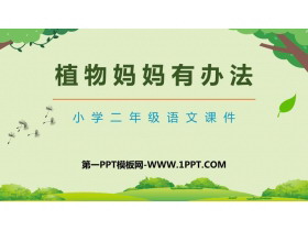 《植物妈妈有办法》PPT精品教学课件下载-第一PPT