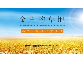 《金色的草地》PPT优质教学课件-第一PPT
