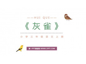 《灰雀》PPT优秀课件下载-第一PPT