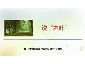 《说“木叶”》PPT免费课件-第一PPT