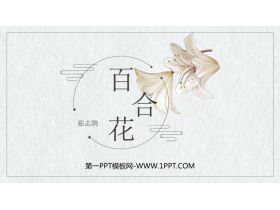 《百合花》PPT免费课件-第一PPT