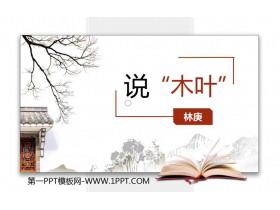 《说“木叶”》PPT免费下载-第一PPT