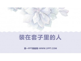 《装在套子里的人》PPT优秀课件-第一PPT