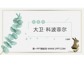 《大卫·科波菲尔》PPT课件-第一PPT