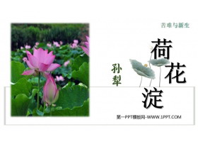 《荷花淀》PPT教学课件-第一PPT