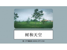 《树和天空》PPT下载-第一PPT