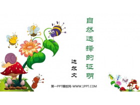 《自然选择的证明》PPT下载-第一PPT