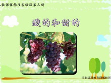 《酸的和甜的》Flash动画课件下载-第一PPT