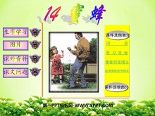 《蜜蜂》PPT教学课件下载-第一PPT