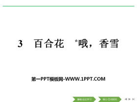 《百合花》《*哦，香雪》PPT-第一PPT