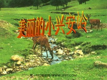 《美丽的小兴安岭》PPT教学课件下载2-第一PPT