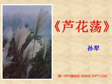 《芦花荡》PPT课件2-第一PPT