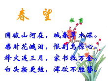 《春望》PPT课件2-第一PPT