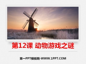 《动物游戏之谜》PPT课件下载-第一PPT