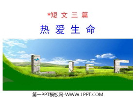《热爱生命》短文三篇PPT课件-第一PPT