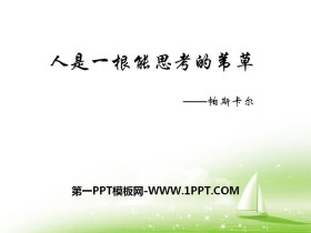 《人是一根能思考的苇草》短文三篇PPT-第一PPT