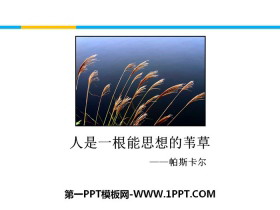 《人是一根能思考的苇草》短文三篇PPT下载-第一PPT