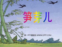 《笋芽儿》PPT课件-第一PPT