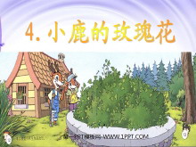 《小鹿的玫瑰花》PPT课件2-第一PPT